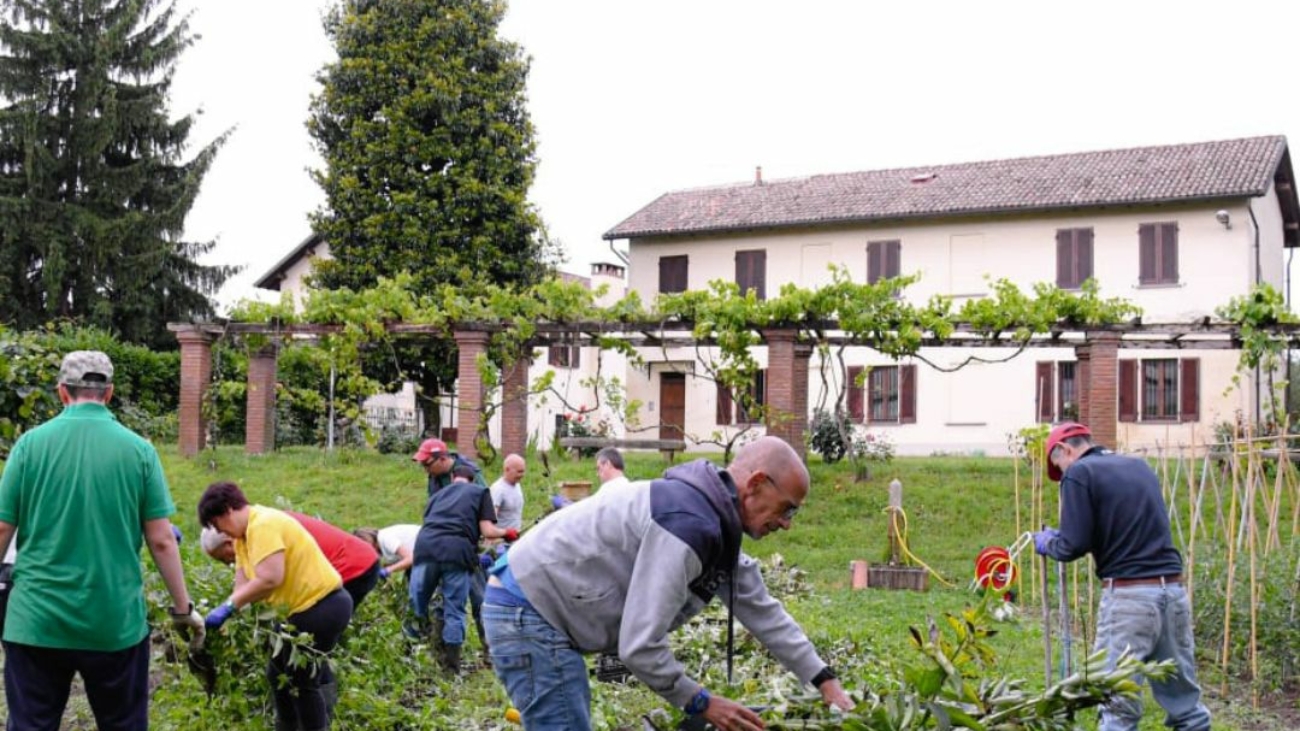 Progetto Sole Pavia Orti Sociali